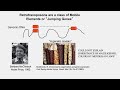 Carta anthropognie compare  rtrotransposons line1