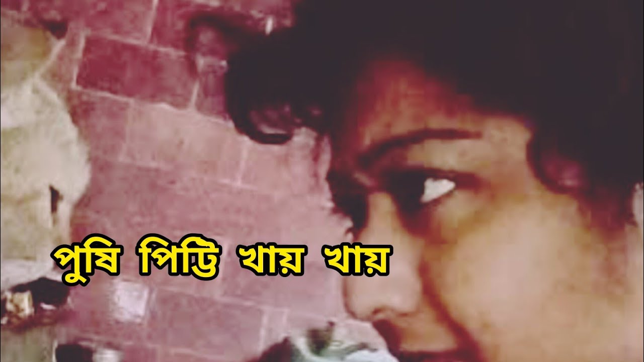 পুষি পিটুনি খায় খায়