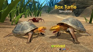 Box Turtle Simulator Part 1  screenshot 2