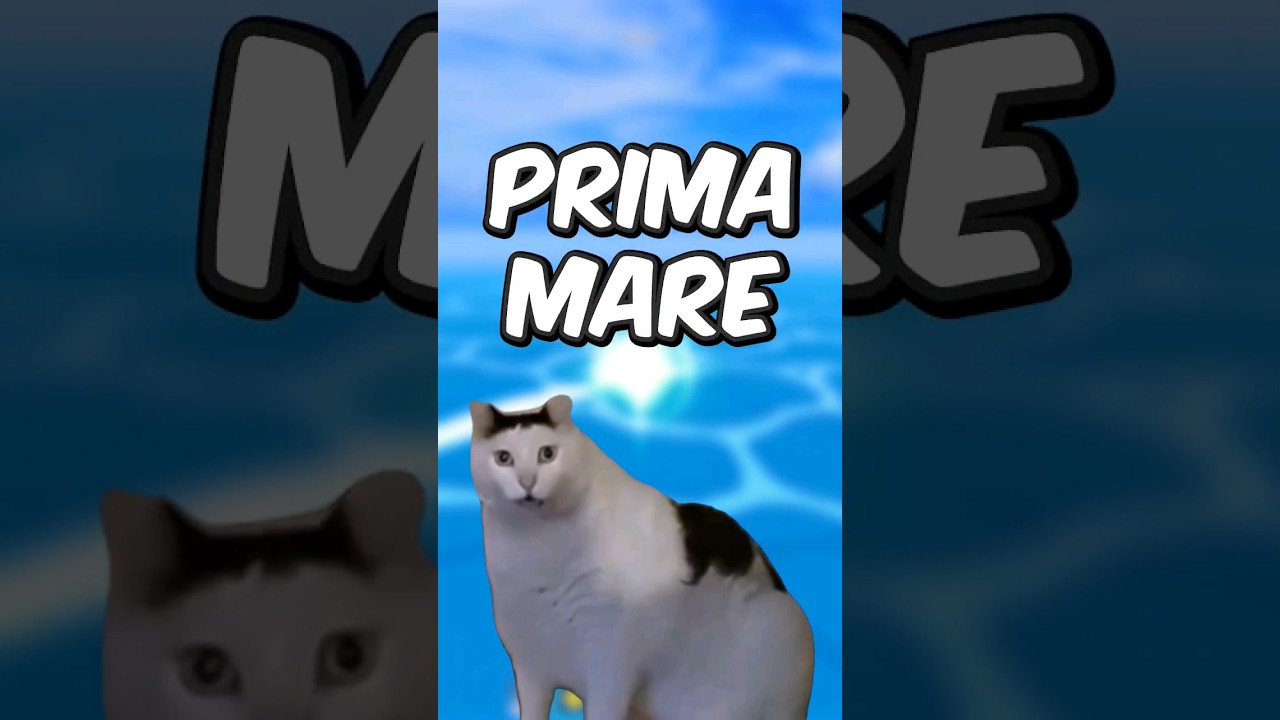 Top 5 cele mai bune Fructe pentru prima mare pe Blox Fruits 