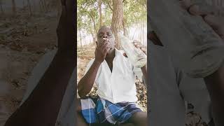 Download Lagu thanni thotti#shorts MP3