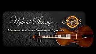 Neocymatics - Hybrid Strings  كمانات شرقية للكونتاكت