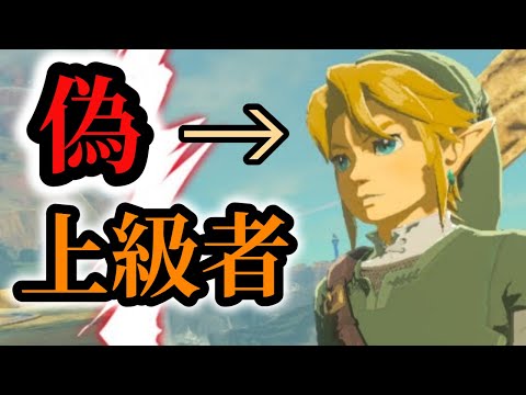 本当に上級者なのか、冷静に観た話【ブレワイ】