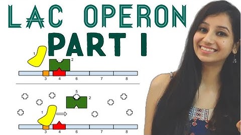 Lac Operon - Regulation of Gene Expression {Part 1 } |Molecular Biology|Lactose|Life Science|