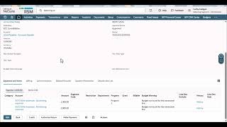 NetSuite Balancing Segments