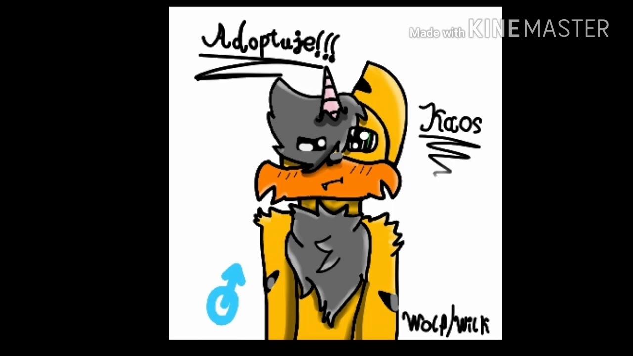 Adoptuje Kaos'a :D