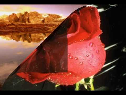 Burak Aydos - Bossonova mp3 indir