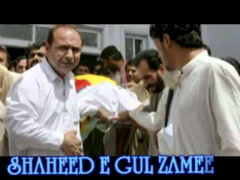 Shaheed E Gul Zameen Habib Jalib Baloch Advocate