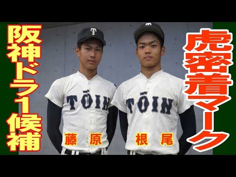 阪神ドラ1藤原か根尾、虎は密着マーク宣言