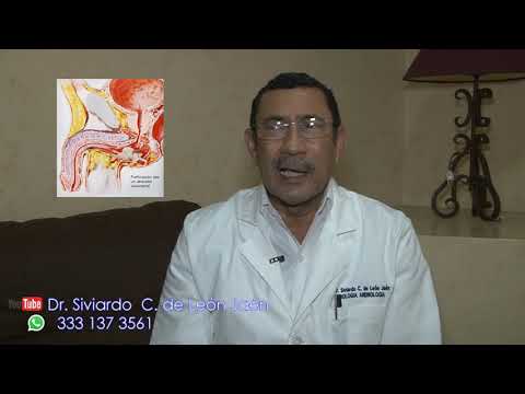 Vídeo: Dolor En La Uretra: Descripción General, Causas Y Más