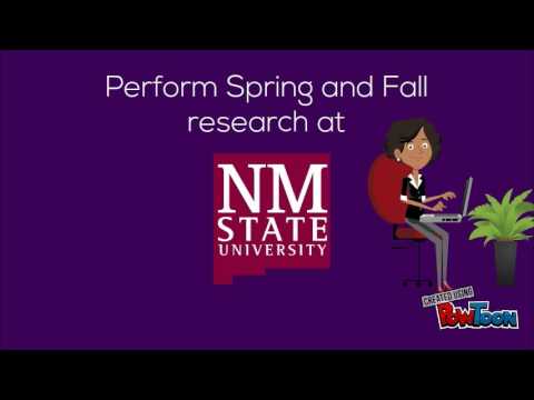 BRAiN Program NMSU