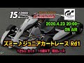 ズミージュニアカートレース