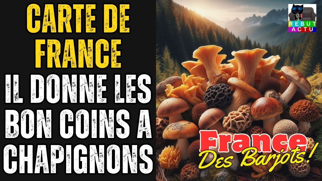 IL CRÉE UNE CARTE DE FRANCE DES BONS COINS À CHAMPIGNONS. IL REÇOIT DE