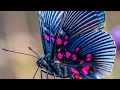 Liora Ziet presents: "Living in the Light."