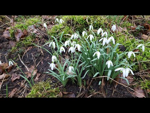 ผลสลากกินแบ่งรัฐบาล วันที่ 1 พย. 2567