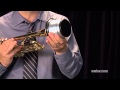 Denis wick trumpet mutes