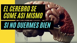 ¿El cerebro se devora a sí mismo si no duermes bien? #dormir #cerebro #salud