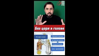 Что Означает Это Выражение? Как Навести Порядок В Сфере Жизни Слияние? #Жизнь #Порядок