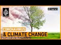 Could coronavirus change how we tackle the climate crisis? | The Stream