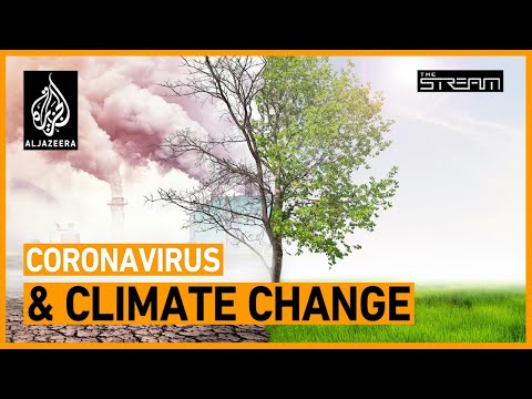 Could coronavirus change how we tackle the climate crisis? | The Stream