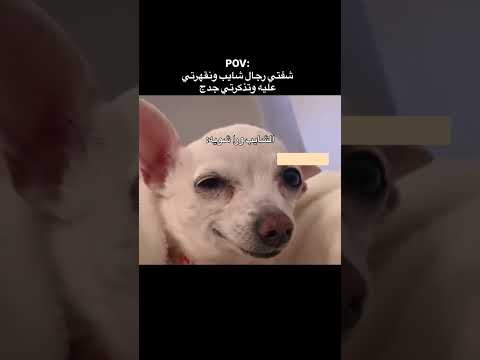 اكسبلور النسويه  اقنباسات  كتب عبارات العظماء لايك