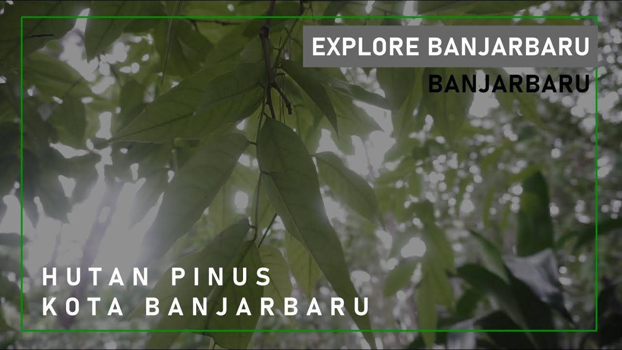  Hutan  Pinus  Kota Banjarbaru Explore Banjarbaru YouTube