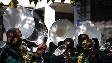 Second Line Parade - Everything Alive is Radical - Live Cinema