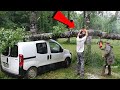 Dangerous Big Tree Cutting Fails With Chainsaw Working - Heavy Tree Falling On Car Pathetic