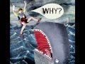 WHY? - Jonathan's Hope (Off New Album 