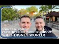 Walt disney world vlog  animal kingdom  magic kingdom  happily ever after  max  alex january 24
