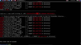 Privilege Escalation Techniques | 13. Exploiting SUID Binaries