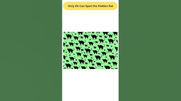 Optical Illusion Challenge: Only 1% Can Spot the Hidden Rat in 5 Seconds! 🐀👀 #shorts #ytshorts