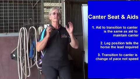 Training Tip - Canter Seat and aids