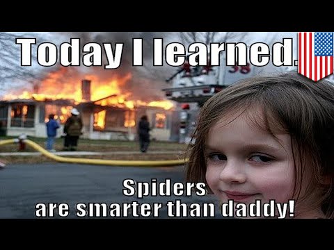 seattle-man-burns-half-his-house-down-trying-to-get-rid-of-spiders-with-a-spray-paint-blowtorch