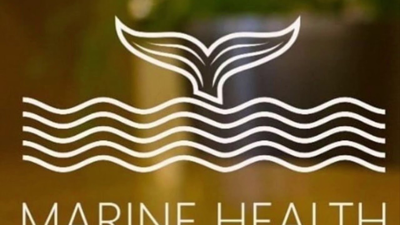 Mh marine health. Marine group. Marine health group. Marine health лого. Marine group.