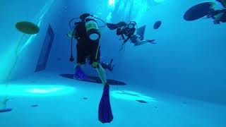DIVECUBE - TAIWAN 27-10-2017!!!