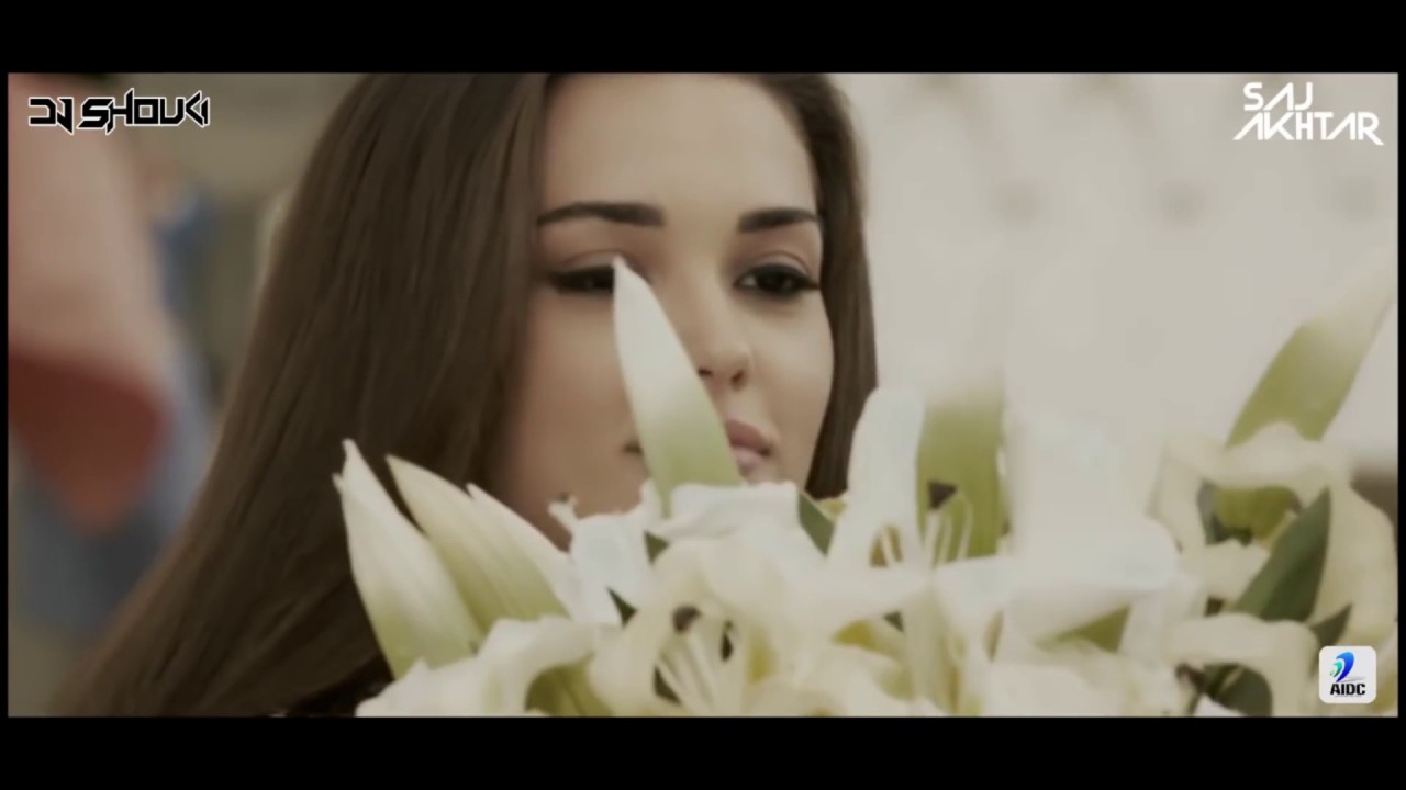 Blow Horn Hardy Sandhu DJ Shouki & Dj Saj Akhtar Remix YouTube