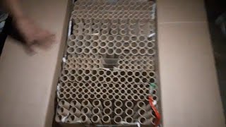 squid game 341 shots
