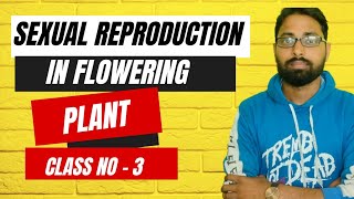 sexual reproduction in flowering plants class 12 All Theory  Suvankar Sen