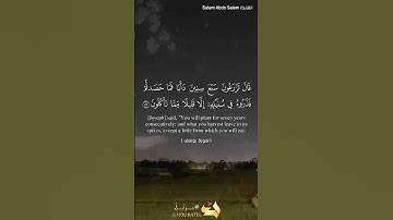 ماتيسر من سورة يوسف برواية حفص عن عاصم #الشيخ سالم عبده سالم #القرآن_الكريم #راحة_نفسية