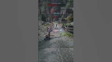 Using Polymorph from D&D in Hogwarts Legacy