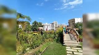 nature-beautiful day at the garden