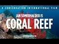 Nature Is Speaking – Ian Somerhalder is Coral Reef | Conservation International (CI)