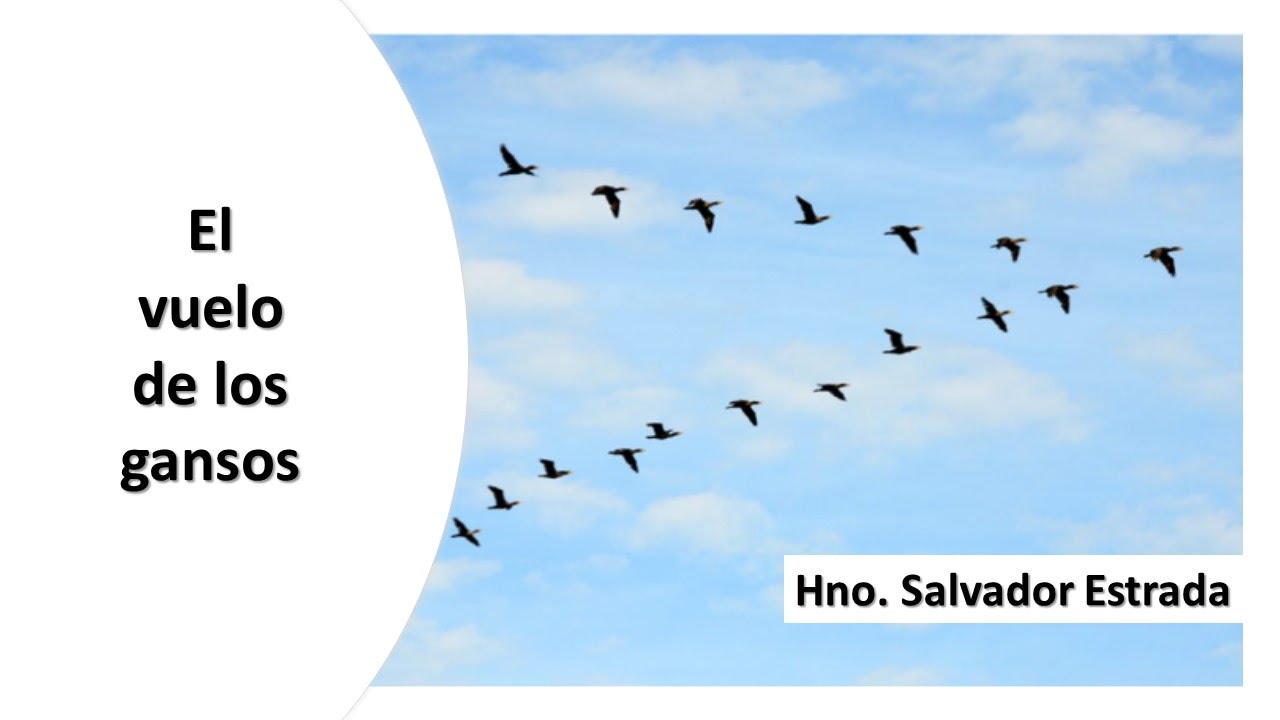 El Vuelo De Los Gansos. - YouTube