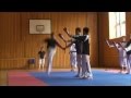 Moohwa taekwondo demo team  2nd training camp 2012