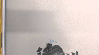 Succession Stop Motion Video