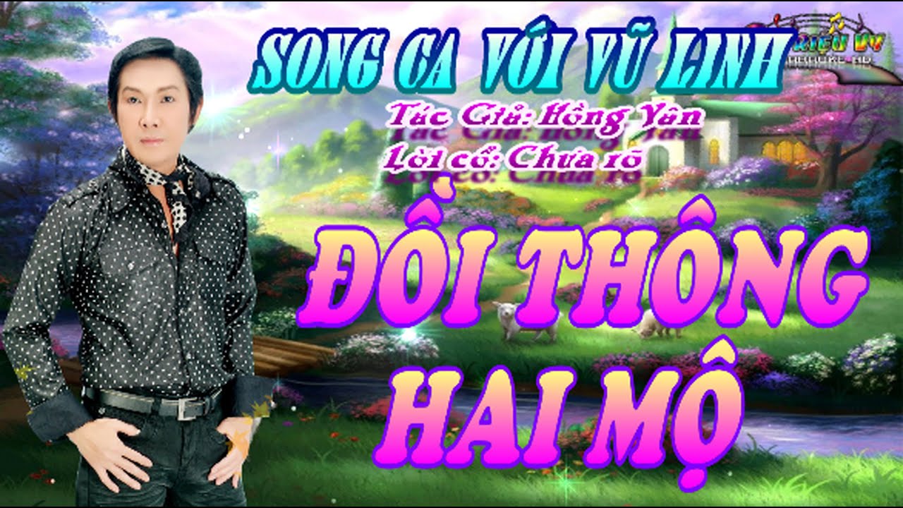 KARAOKE TC ĐỒI THÔNG HAI MỘ THIẾU ĐÀO SONG CA VỚI VŨ LINH