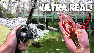 Today i go bass fishing with the world's most realistic crawfish lure!
love to eat almost as much this cr...