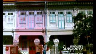 Notes From Singapore - Anchee Min