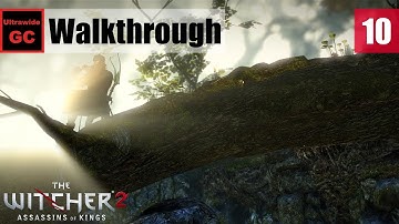 The Witcher 2 [#10] - Chapter 1 - A Rough Landing || Walkthrough